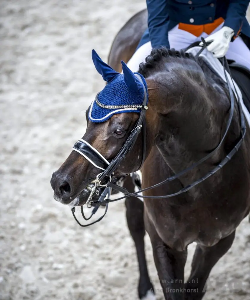 Apache niet op NK Dressuur: ‘Ik heb genoeg informatie’ featured image