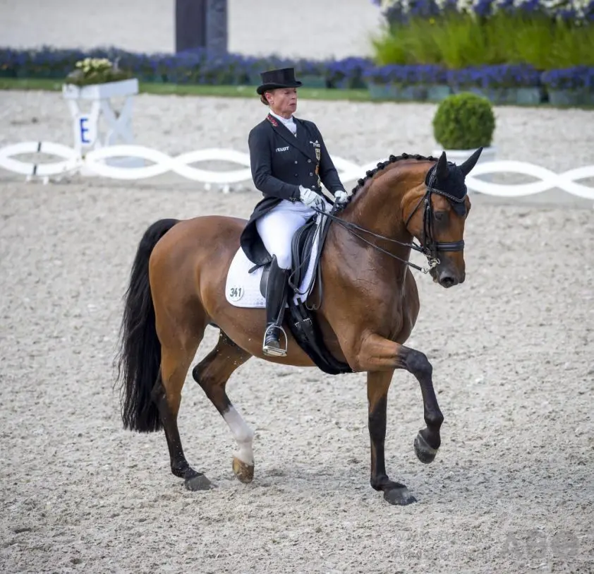 Minderhoud en Scholtens in top vijf, unanieme zege voor Werth featured image