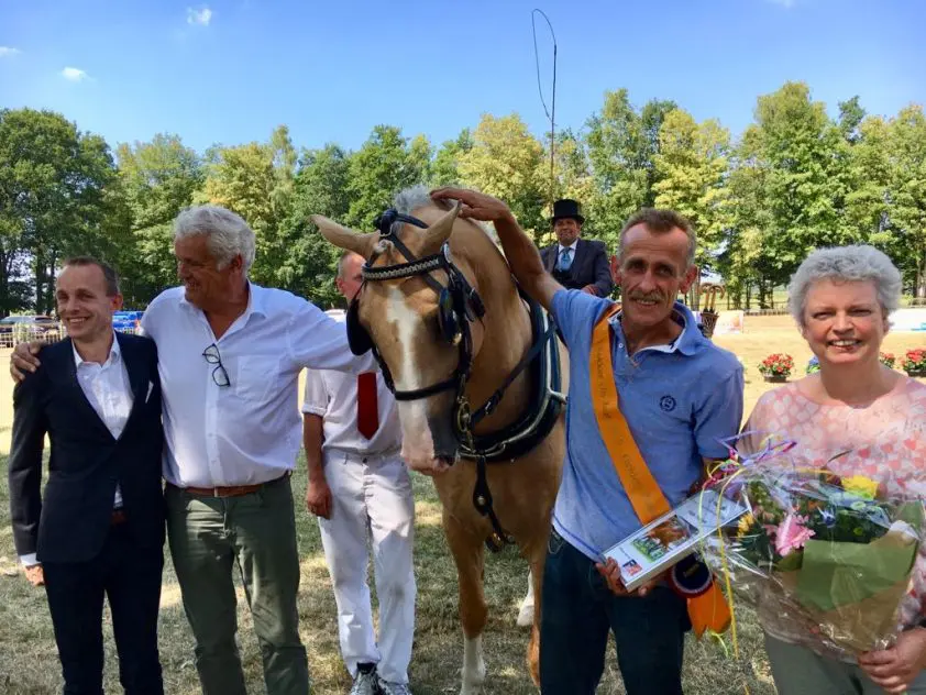 VIDEO: Stomverbaasde Henk Hekkert Fokker van het Jaar featured image