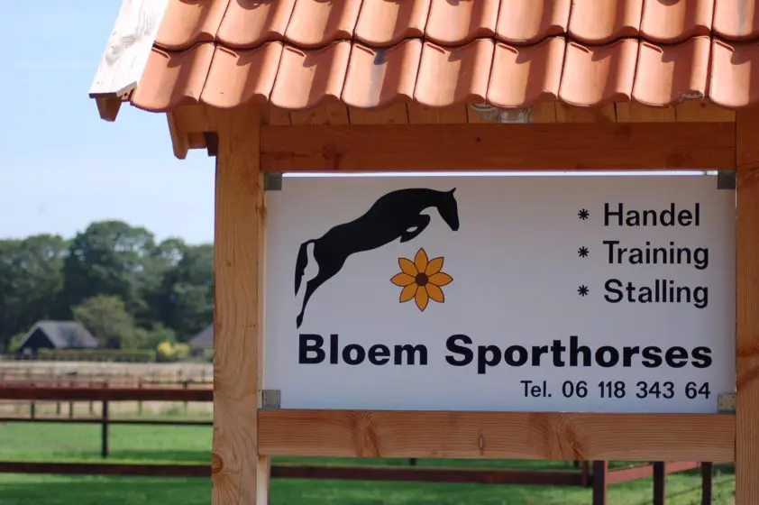 Wie is toch.. Bloem Sporthorses featured image