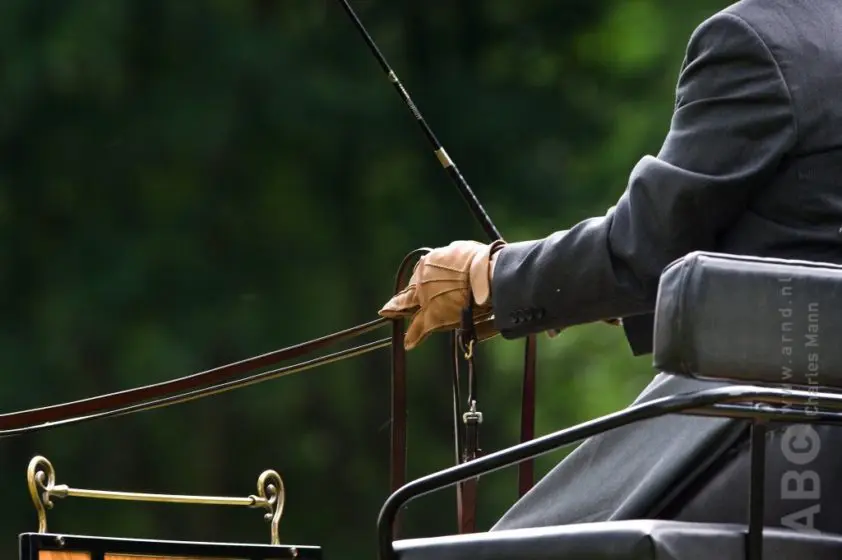 Deschamps bovenaan na eerste dag WK Enkelspannen, Van der Doelen beste Nederlander featured image
