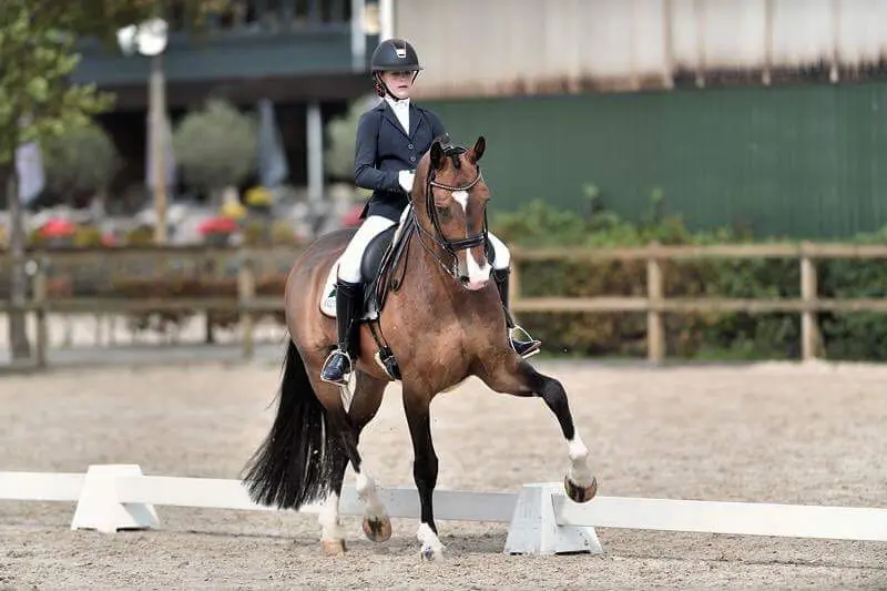 Micky Schelstraete (13) wint juniorendebuut: ‘Cupido is echt super leuk’ featured image
