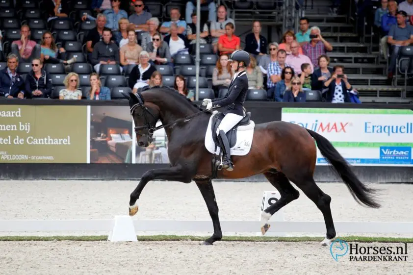 Halfzus Jovian absolute EPTM-topper met 85,5 punten featured image