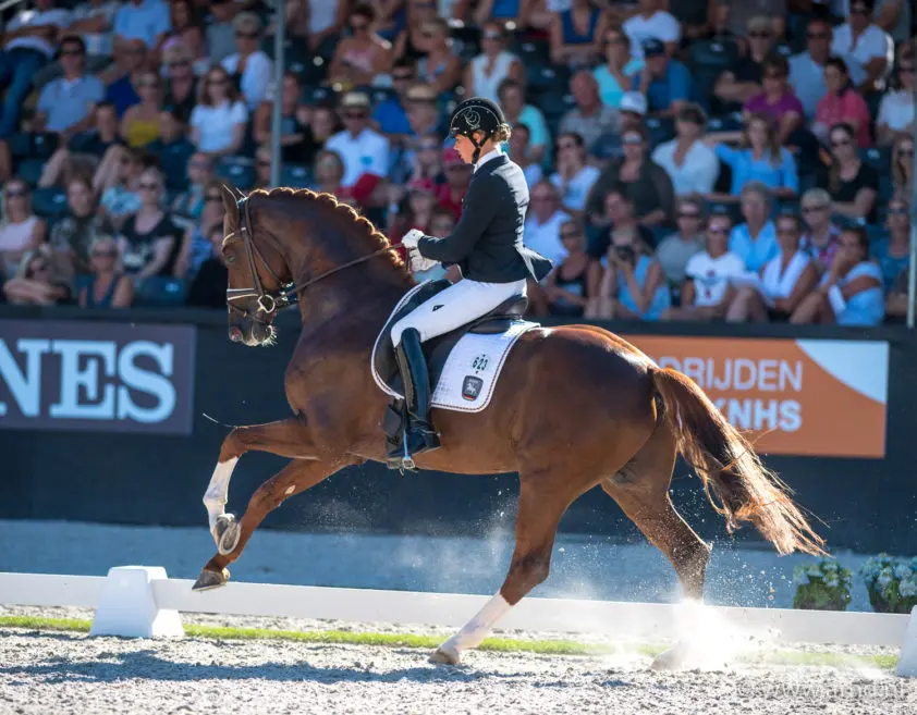 Ruim 74% voor Villeneuve en Dorothee Schneider bij debuut featured image