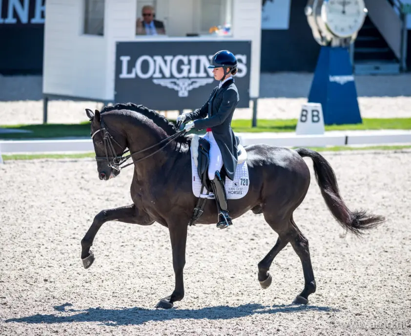 Glamourdale, Dana Blue en Independent Little Me aan de leiding Paard van het Jaar featured image