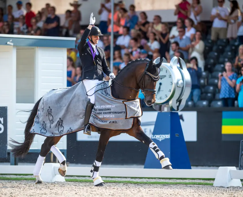 Team Helgstrand oppermachtig op Deense jonge dressuurpaarden kampioenschap featured image