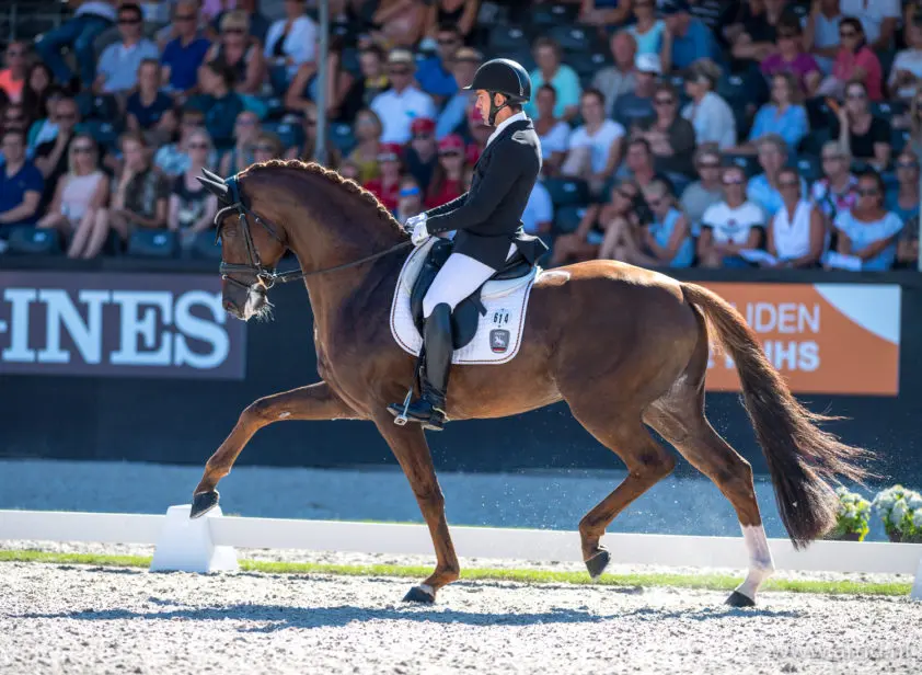 D’Avie wint Deense zevenjarigen rubriek met 10 voor galop featured image