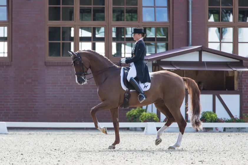 Werth en Bella Rose naar bijna 80% mét programmafout featured image