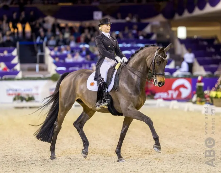 Volle broer TSF Dalera BB onder de hamer in Neumünster featured image