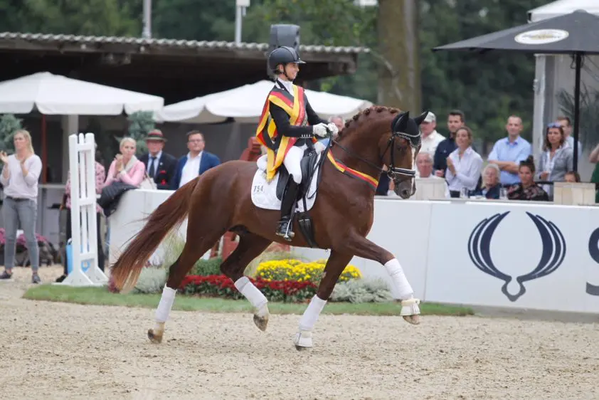Troostprijs voor Helgstrand: So Unique wint inloopproef vierjarigen featured image