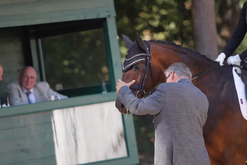 Laat je horen! ‘Handhaven welzijnsregels moet hoogste prioriteit hebben’ featured image
