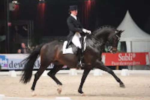 NRPS-hengst Gameboy overleden featured image