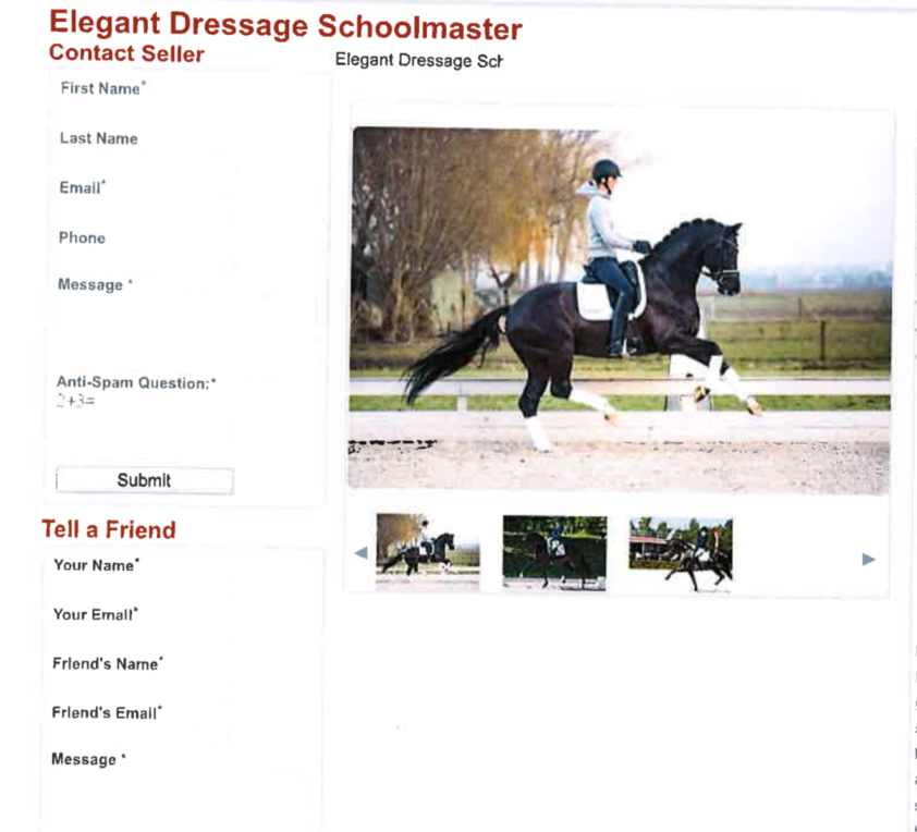 KWPN-hengst Four Legends op internet te koop gezet door oplichters featured image