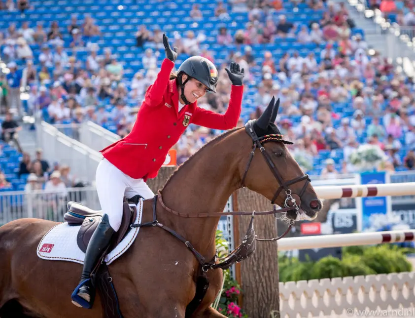 De ontwikkeling van… DSP Alice featured image