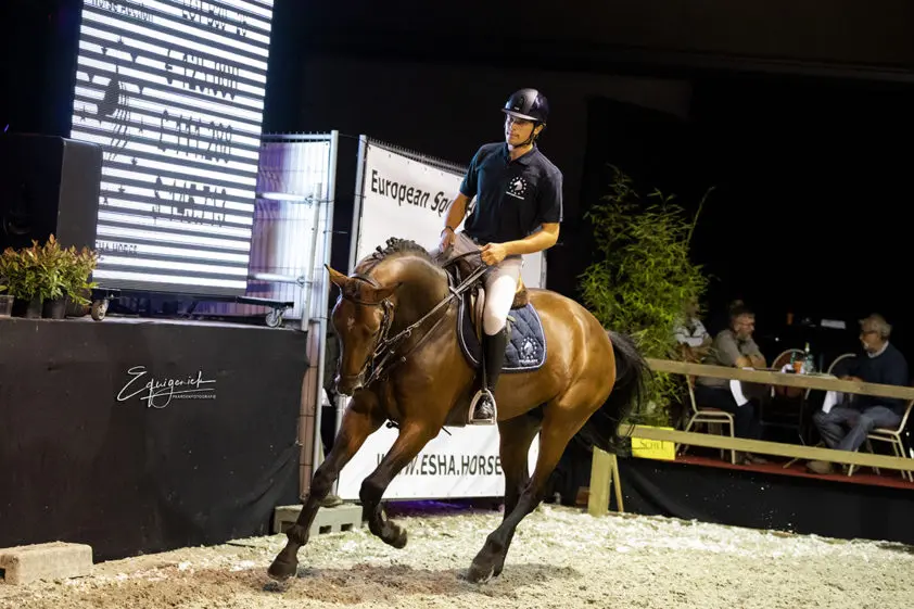European Sport Horse Auction: 175.000 euro voor Verdi-zoon featured image