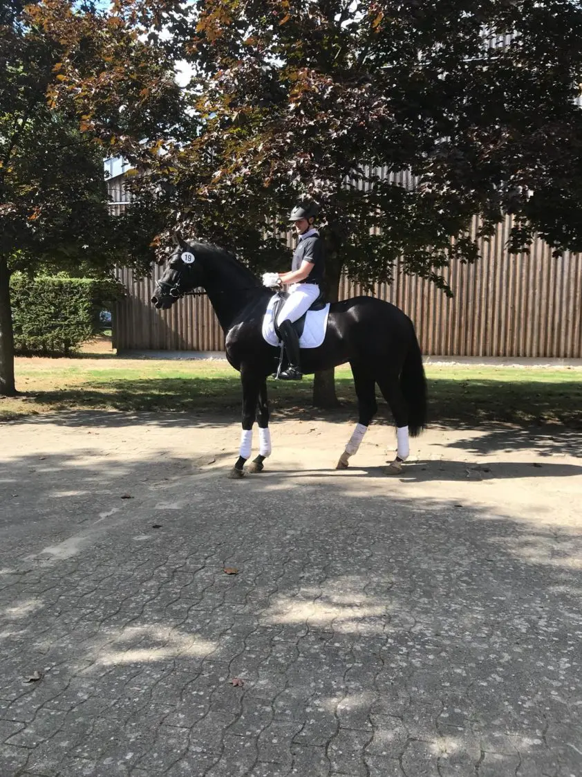 Glock’s Kardams Whisper en Fontaine TN toppers van test featured image