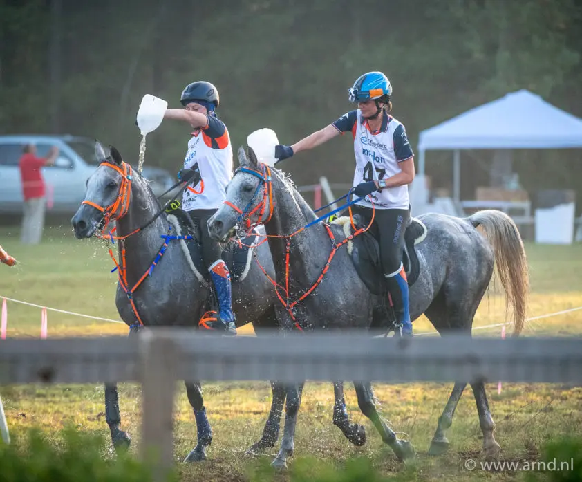 WEG Tryon: Endurance van begin tot staking chaos featured image