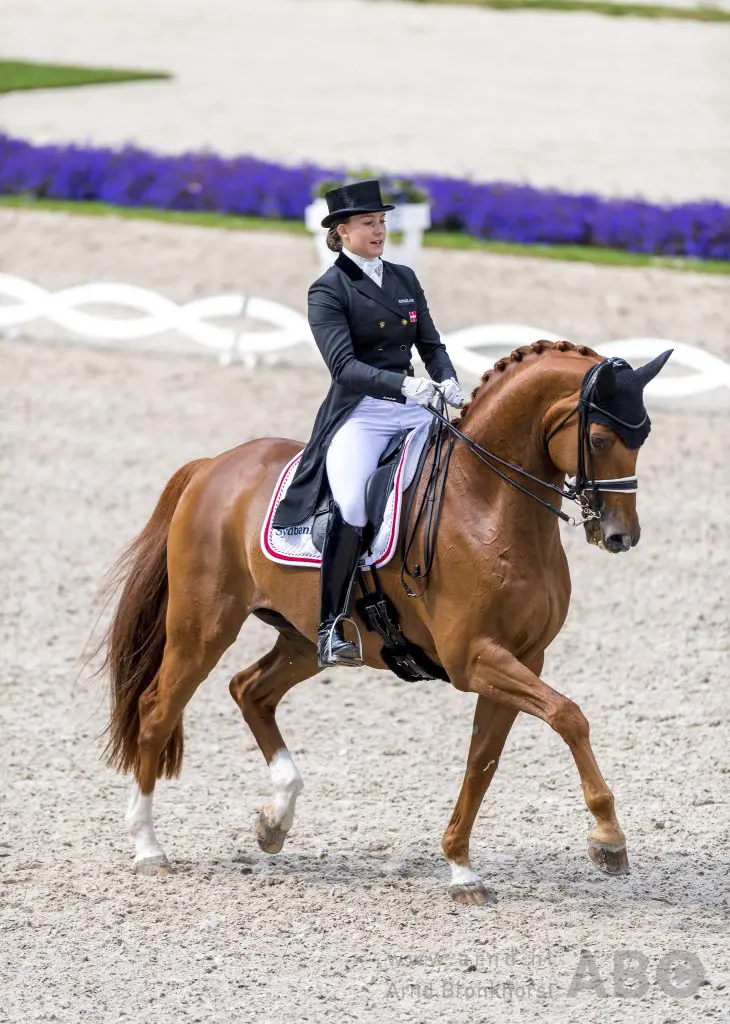 Springpaarden op stal bij Cathrine Dufour featured image
