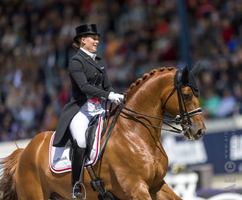 Dufour: ‘Volgens Andreas werd Cassidy nooit een Grand Prix-paard’ featured image