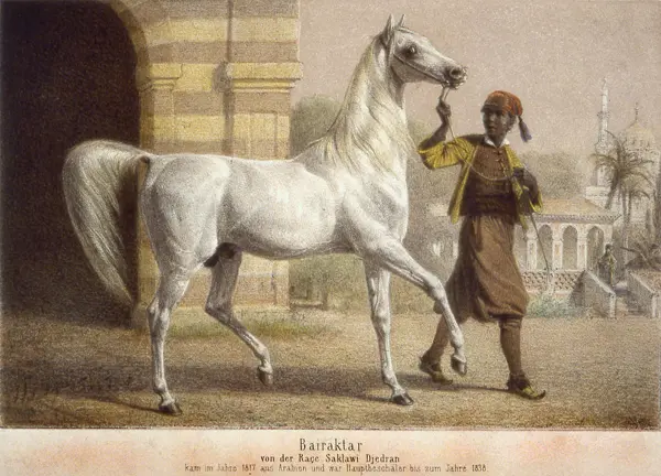 Zakdoekje leggen featured image