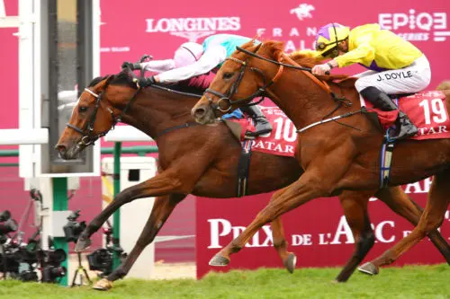 Enable wint Prix de l’Arc de Triomphe voor de tweede keer featured image