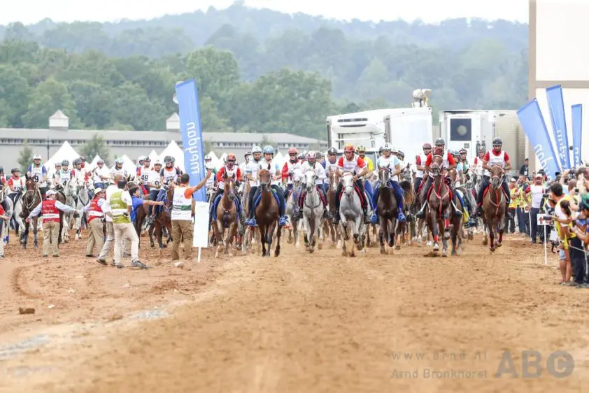 FEI trekt stekker uit WK Endurance in Verona featured image