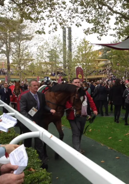 Driejarige Magical wint op Qipco Championsday te Ascot featured image