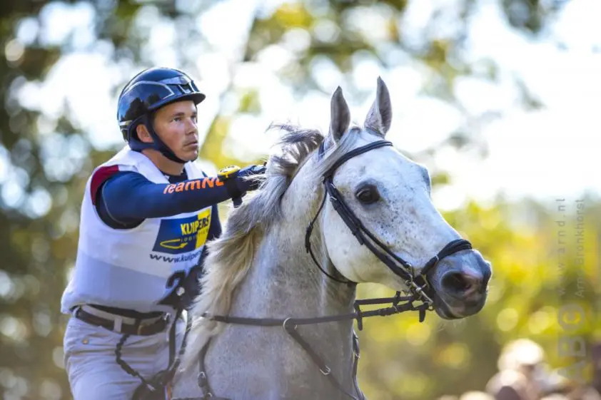 Tim Lips’ Bayro overleden featured image