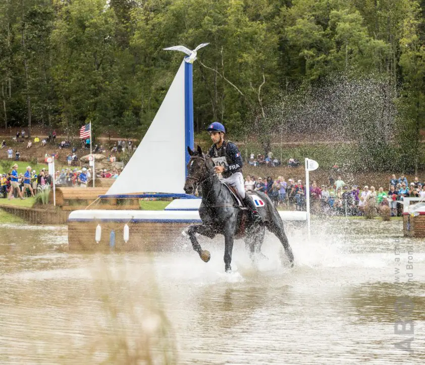 WK-paard Vinci de la Vigne van Astier Nicolas naar Japan featured image