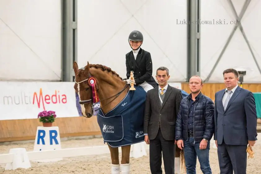 Achttienjarig tuigpaard Tago opvallende verschijning op CDI Zakrzow featured image