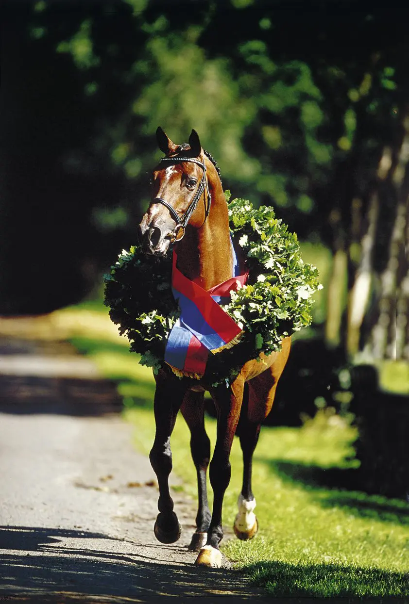 Stijger van de Maand: Quidam’s Rubin featured image