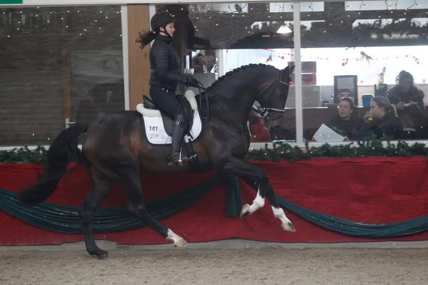 In Beeld: De finale van de VSN Trofee featured image