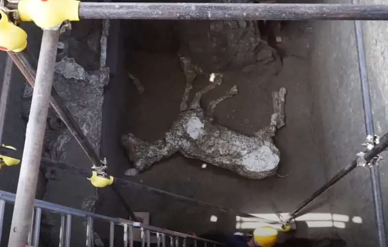 Pompeii: paard opgegraven met militaire uitrusting featured image