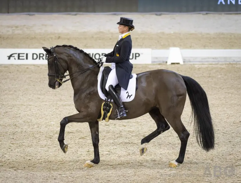 WB-kwalificatie Grand Prix voor Werth, Scholtens knap derde, Gal vijfde featured image