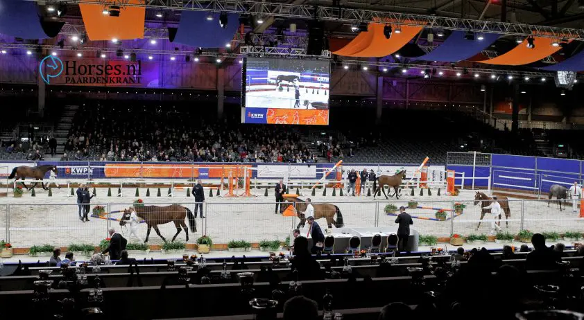 Einde aan termijn Reijer van Woudenbergh in KWPN HK-commissie featured image