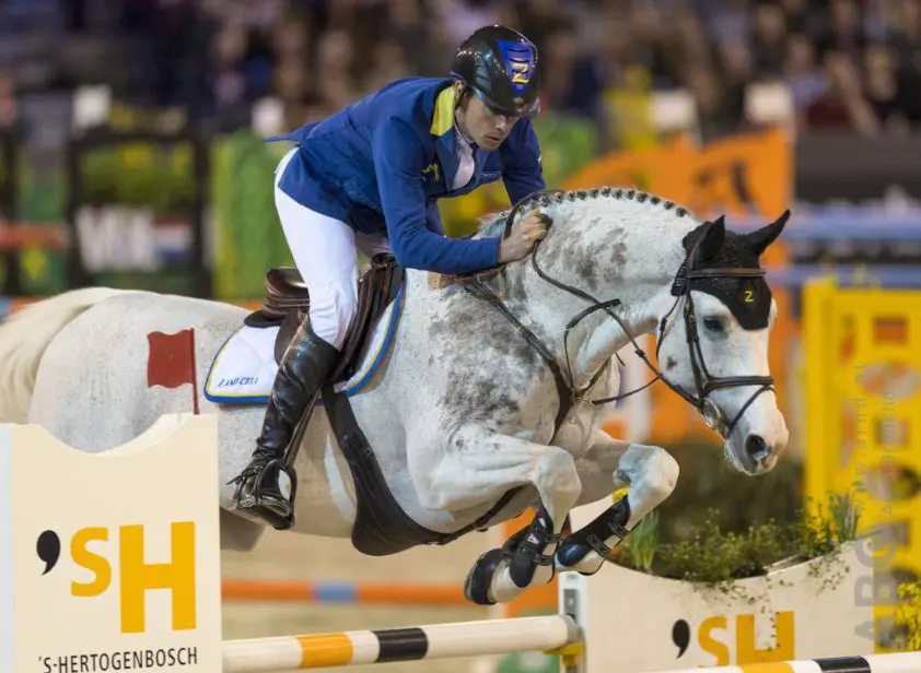 DSP verklaart Colorit tot elitehengst featured image