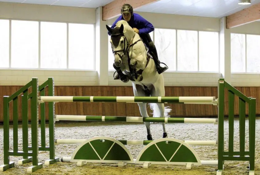 Keuring bij Stal Hendrix: zes merries met minimaal 80 voor springen featured image