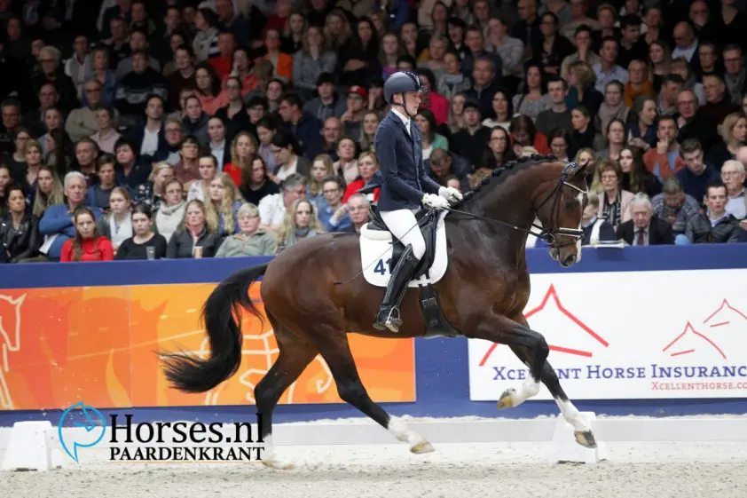 Dressuurstal van Baalen geeft sportieve carrière Kaiser DVB voorrang featured image