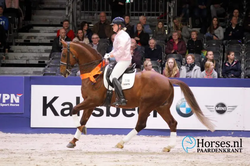 Floris BS wordt het ‘plezierpaard’ van Scot Tolman featured image