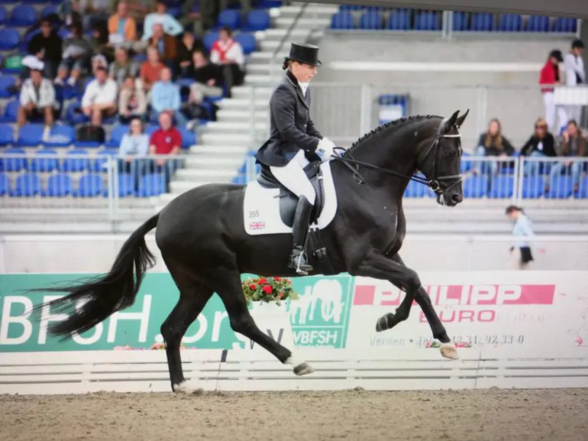Stijger van de Maand: San Remo featured image