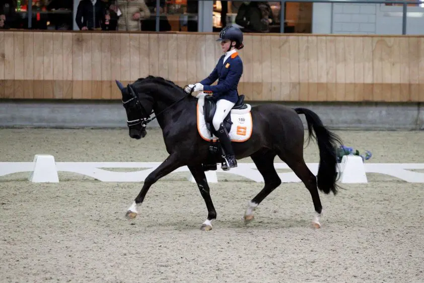 Z2 kampioene Evi van Rooij: ‘Het mooiste cadeau wat ik had kunnen krijgen’ featured image