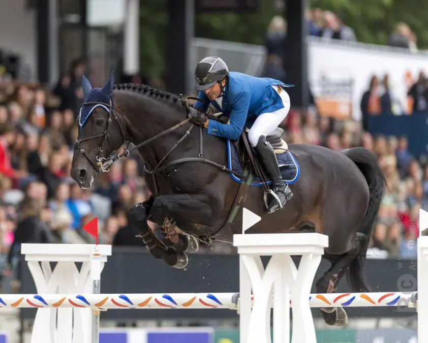 BWP keurt vier oudere hengsten goed featured image