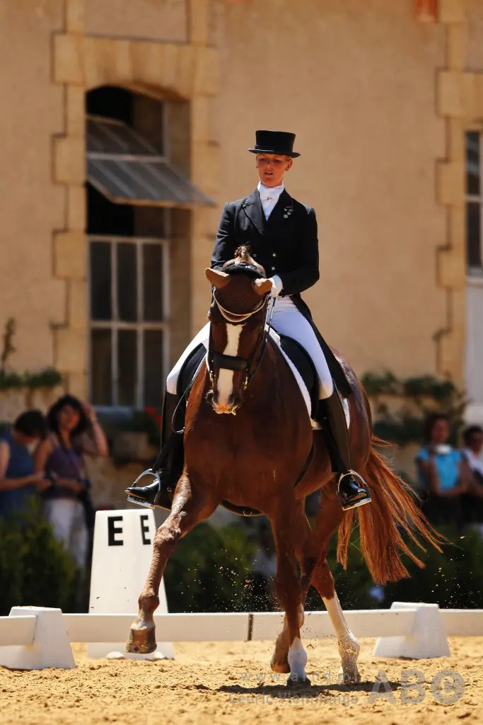 Joyce Lenaerts’ Grand Prix-paard Ubique overleden featured image