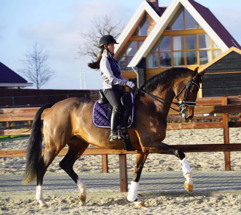 Shanna Baars stijgt boven zichzelf uit featured image