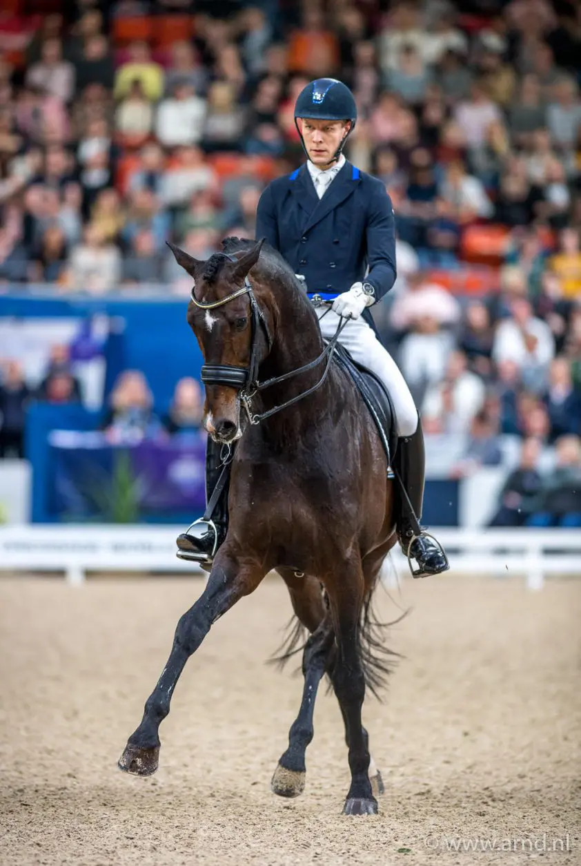 Nederland op drie in Nations Cup Falsterbo, Zack wint Kür featured image