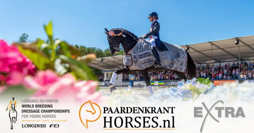 1+1 kaartje GRATIS WK Jonge Dressuurpaarden featured image