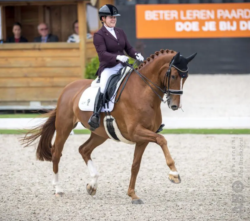 Voets tegen band Haevn: “hey, ik train voor Tokio zullen we samenwerken?” featured image