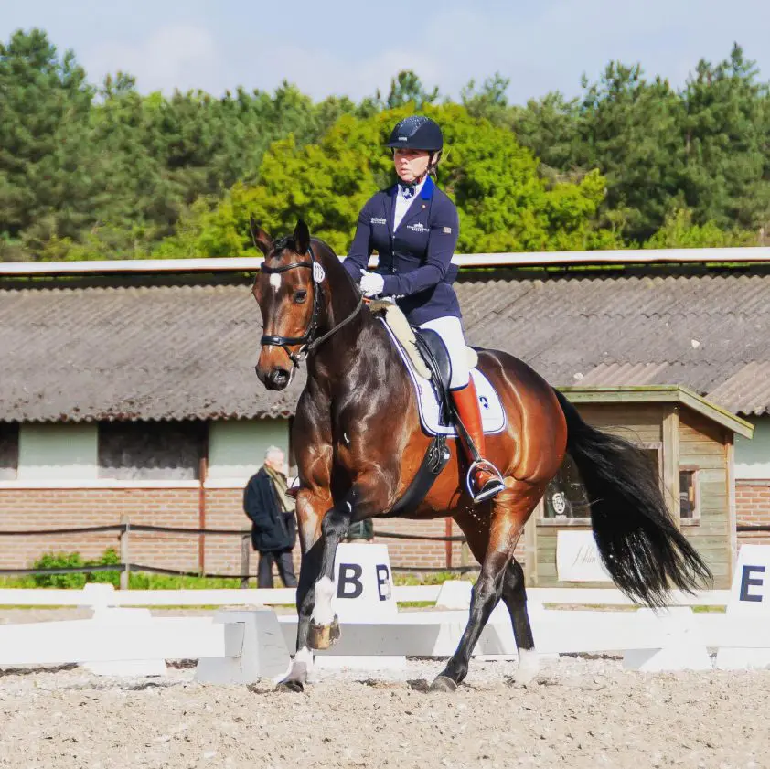 Gezinsuitbreiding voor Jenny Broft-Schreven featured image