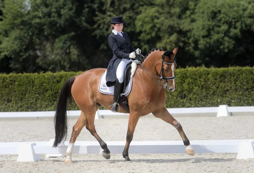 Romee Driessen: ‘Dinja heeft me echt naar dit niveau geholpen’ featured image