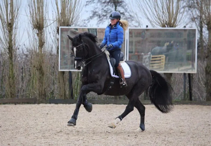 Kim Noordijk kampioene M1, Skylar Bos naar L2-titel featured image